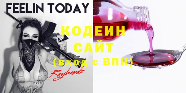 гашик Кедровый