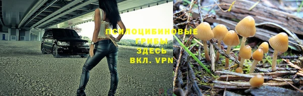 бошки Баксан