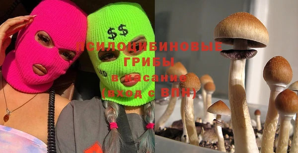 бошки Баксан