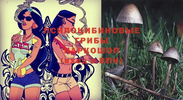 бошки Баксан