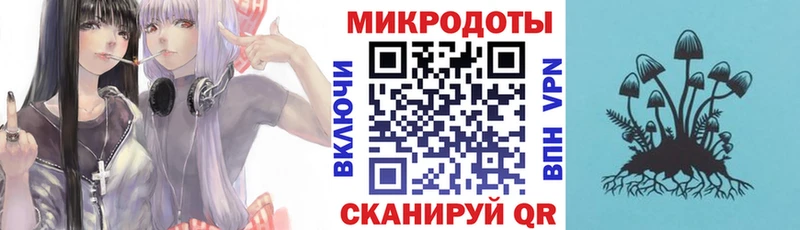 Галлюциногенные грибы Psilocybe  Губаха 